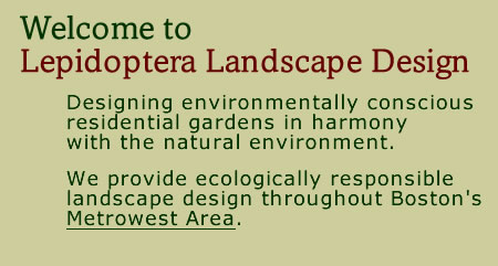 Welcome to Lepidoptera Landscape Design.  Designing environmentally conscious residential gardens in harmony with the natural environment.